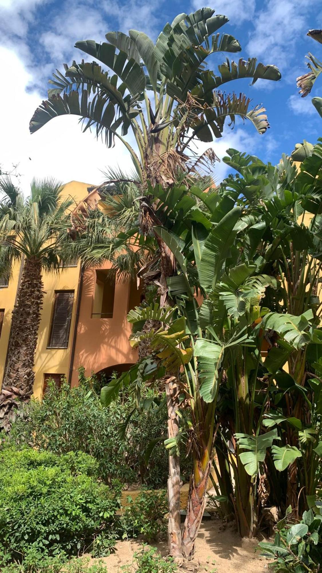 Nest House - Esclusivo Appartamento Marina Di Olbia- Mater Olbia - Beaches - Close To The Airport - Private Parking- Full Comforts - Экстерьер фото